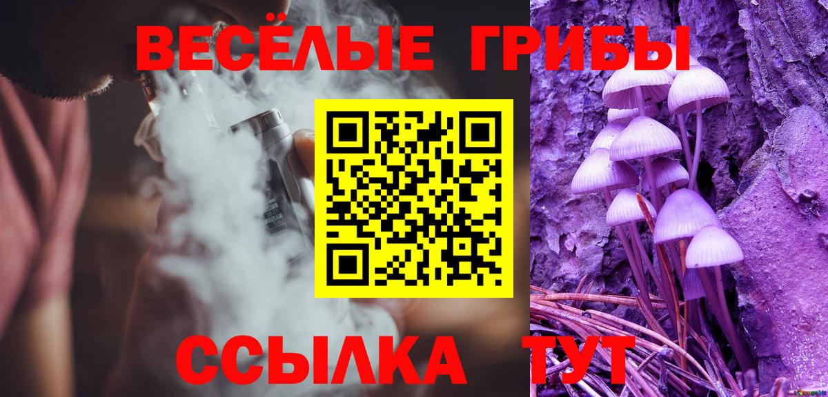 Псилоцибиновые грибы мухоморы Междуреченск