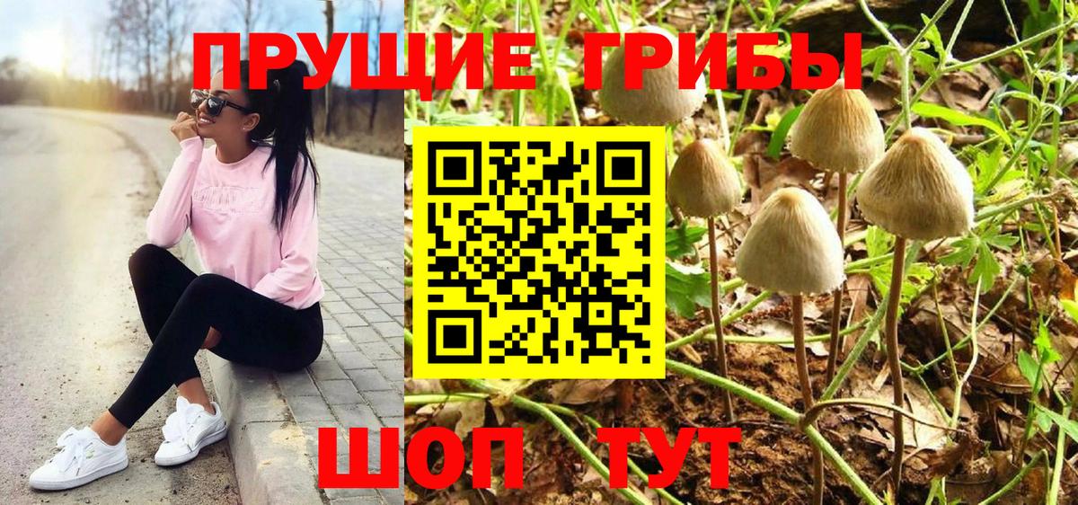 Псилоцибиновые грибы Psilocybine cubensis  наркотики  Междуреченск  Вход с VPN 